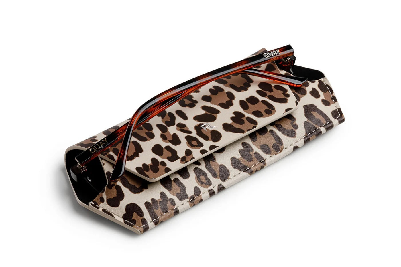 Leopard 4.jpeg