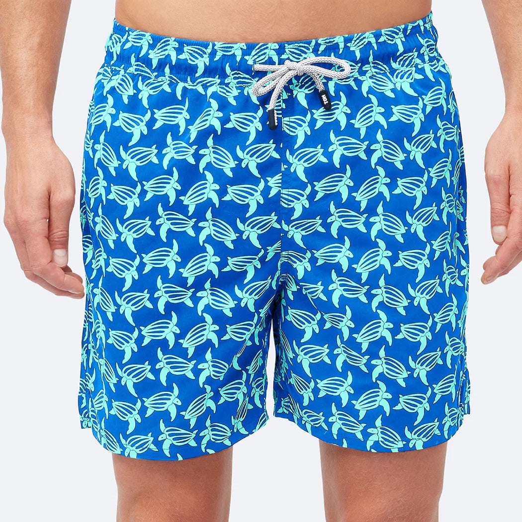turtles blue and ice green 3.jpeg