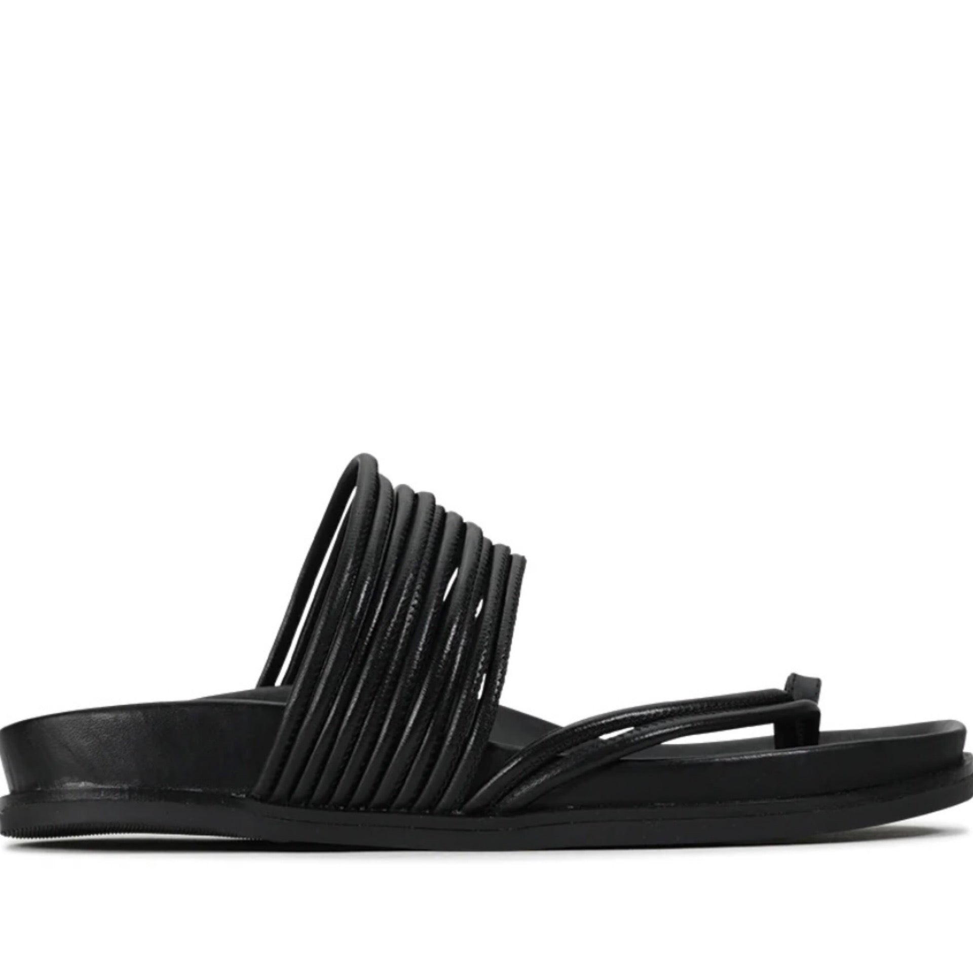 EOS | Carmella Black