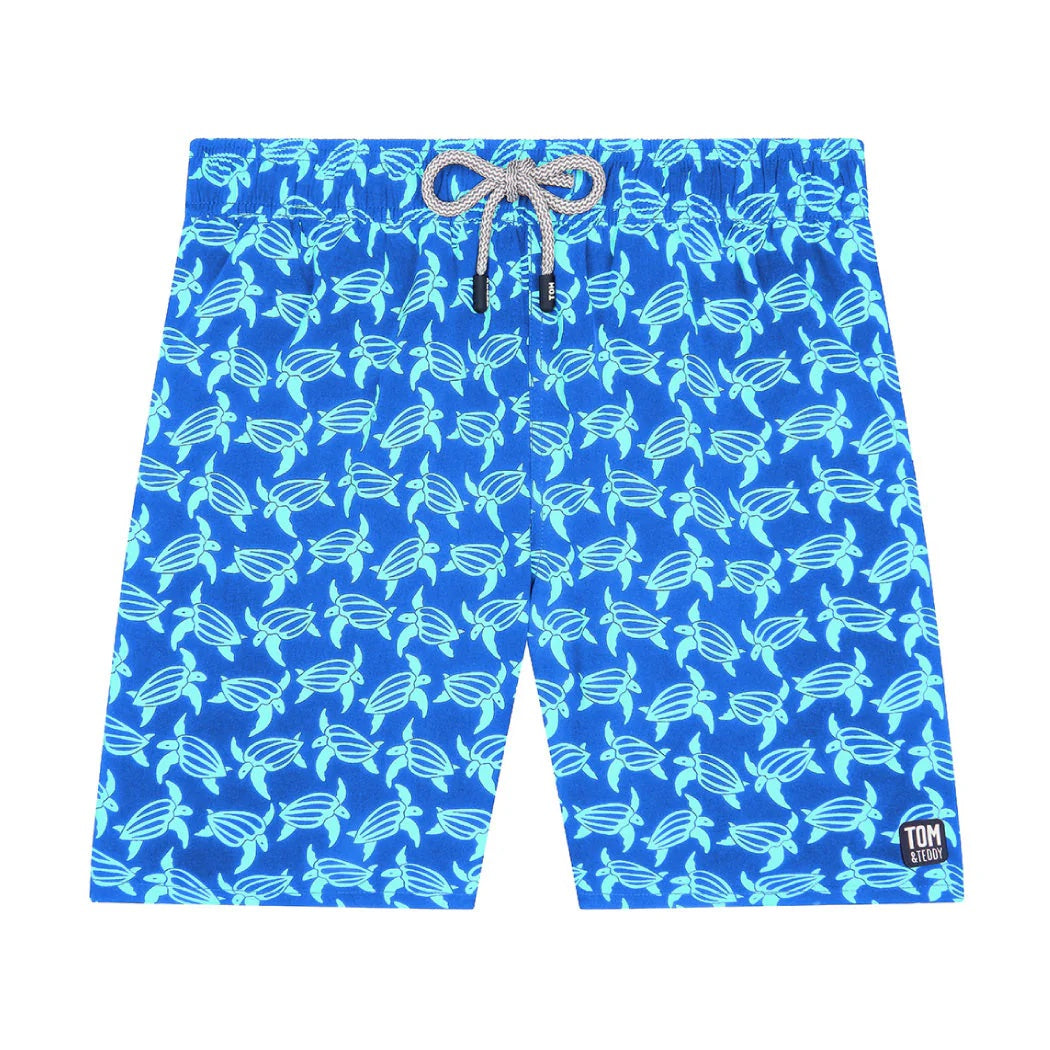 turtles blue and ice green 1.jpeg